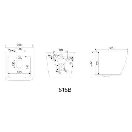 Подвесной безободковый Унитаз Elson-1