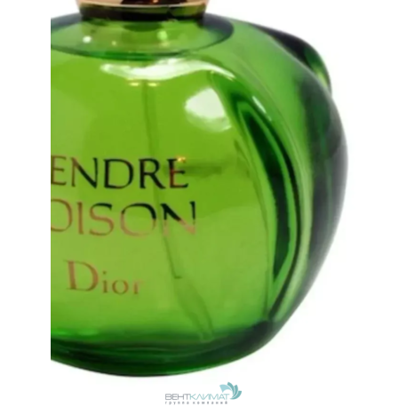Christian Dior Tendre Poison 100 ml-2